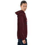 Asian Spring Unisex Heavy Blend Hoodie - Seasons by Curtainfall
